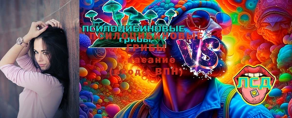 марки lsd Абаза