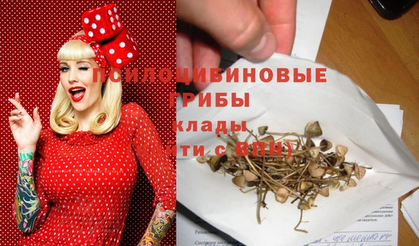 марки lsd Абаза