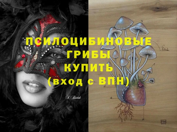 марки lsd Абаза